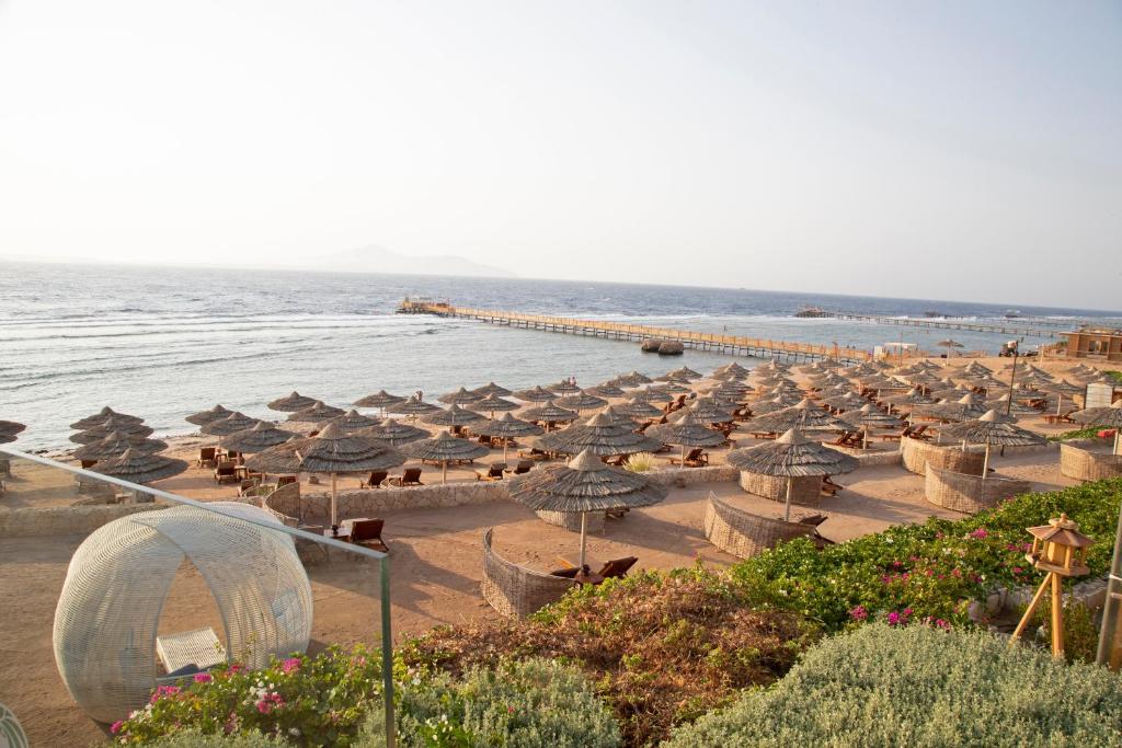 Cleopatra_Luxury_Sharm_El_Sheikh_spiaggia