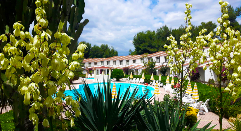 porto_kaleo_piscina_relax_2